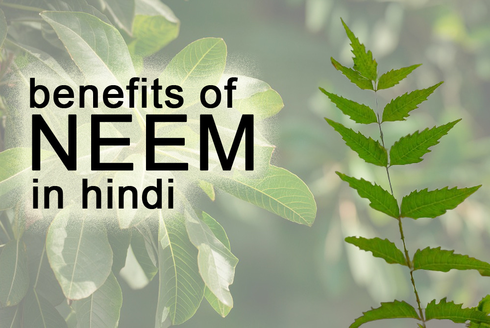 Benefits of neem in hindi