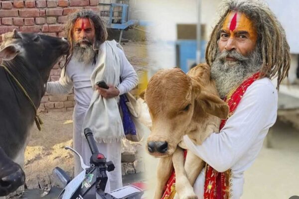 pharsa-wale-baba-mathura-baba-photo