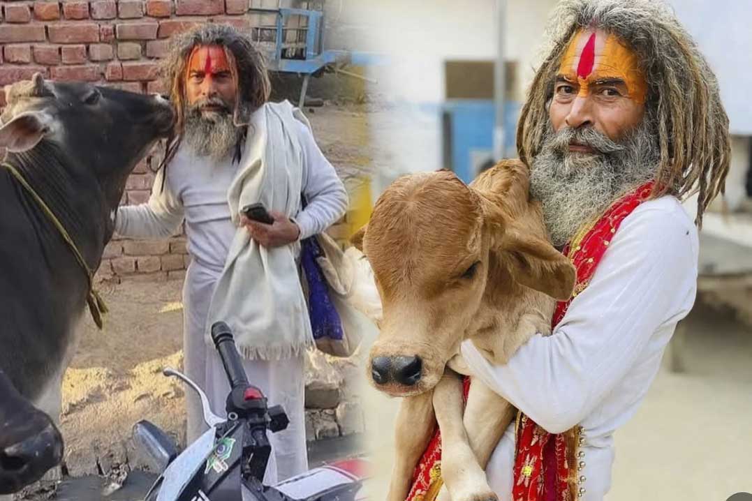 pharsa-wale-baba-mathura-baba-photo