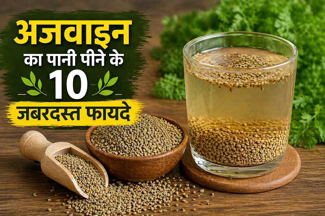 अजवायन के मुख्य फायदे: