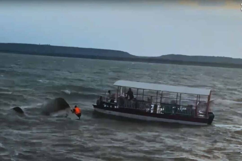 jabalpur-bargi-dam-cruise-accident