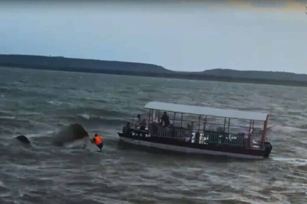 jabalpur-bargi-dam-cruise-accident