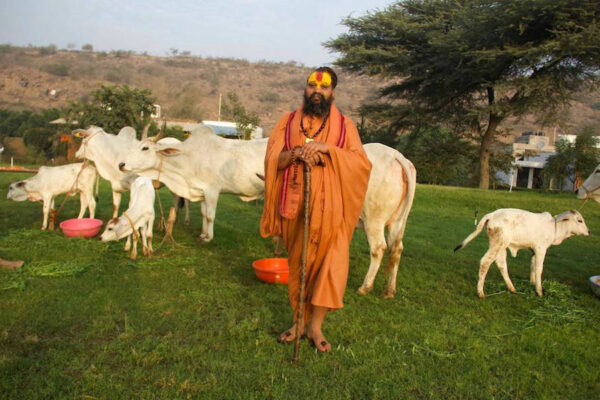 श्री मलूक पीठ वृंदावन