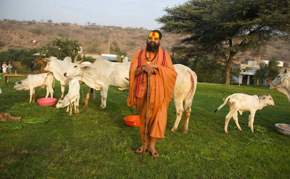 श्री मलूक पीठ वृंदावन