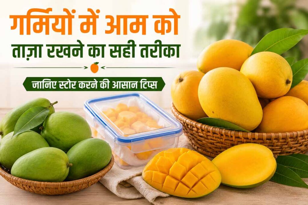 गर्मियों में पके और कच्चे आम को लंबे समय तक ताज़ा रखने के आसान और असरदार स्टोरेज टिप्स।