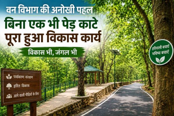 वन विभाग की अनोखी पहल, बिना एक भी कुल्हाड़ी चलाए पूरा हुआ काम